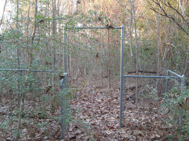 Ross cemetery gate, Rusk County, Texas